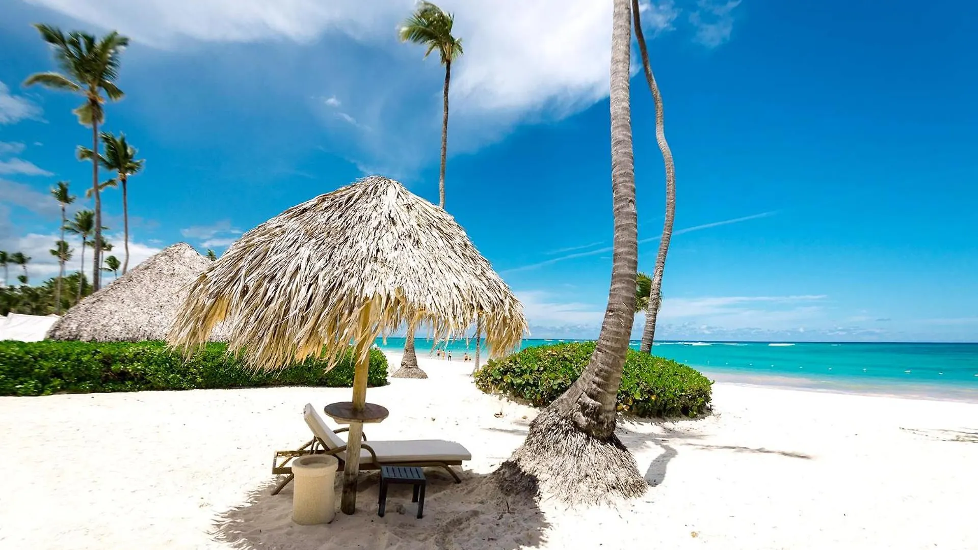 Special Offer! Villa Bueno With Private Pool&Beach Punta Cana